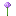 allium.png