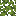 azalea_leaves.png