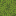 azalea_top.png
