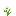 azure_bluet.png