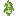 birch_sapling.png