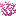 brain_coral.png