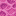 brain_coral_block.png