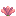 cactus_flower.png