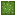 cactus_top.png