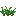 carrots_stage2.png