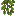 cave_vines.png