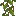 cave_vines_plant.png