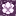 chorus_flower.png
