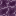 chorus_plant.png