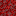 crimson_nylium.png