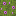 flowering_azalea_top.png