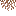 hanging_roots.png