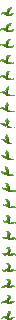 kelp.png