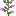 lilac_bottom.png