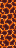 magma.png