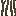 mangrove_roots_side.png