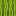 melon_side.png