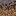 mycelium_side.png