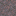mycelium_top.png