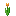 orange_tulip.png