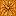 pumpkin_top.png