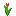 red_tulip.png