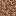 rooted_dirt.png