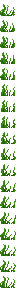 seagrass.png