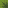 small_dripleaf_top.png