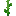 sunflower_bottom.png