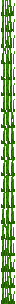 tall_seagrass_bottom.png