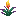 torchflower.png