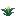 torchflower_crop_stage1.png