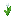 white_tulip.png